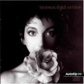 The Sensual World… 25 years old!