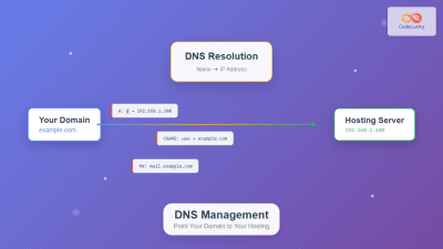 How To Choose The Right Web Hosting Plan: A Comprehensive Information